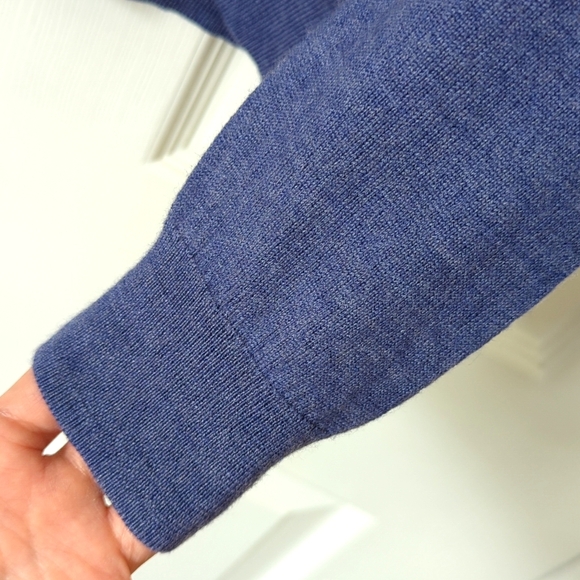 Lord & Taylor Classic 100% Extra Fine Merino Wool V-neck Sweater Purple Large - Picture 8 of 10